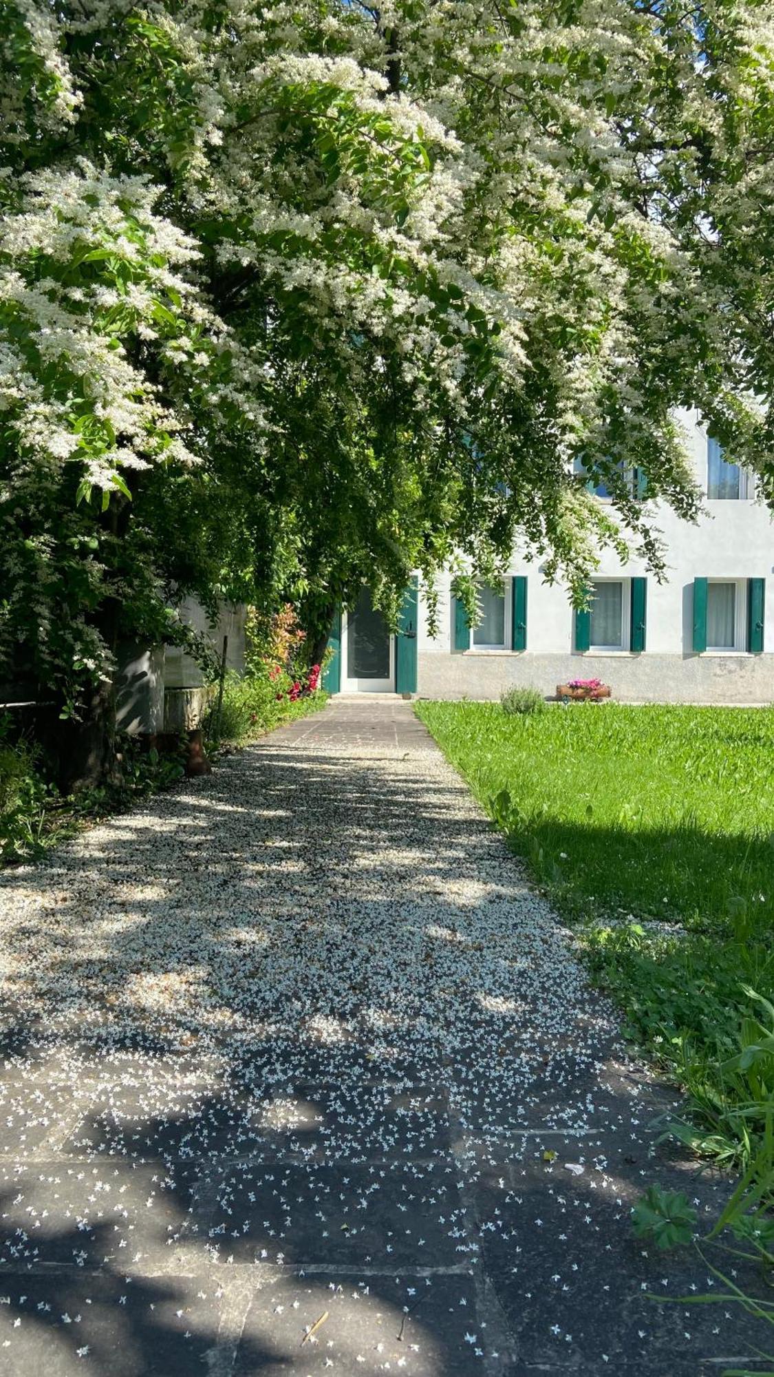 Magnolia 41 Lejlighed Possagno Eksteriør billede